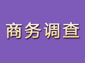 会宁商务调查